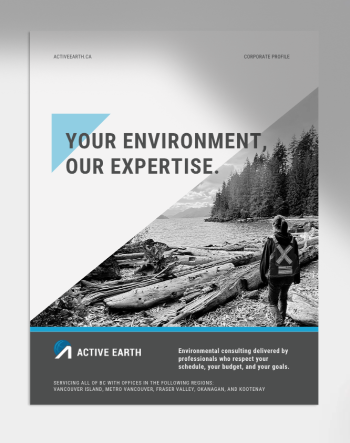 Screen Shot 2025-02-24 at 11.45.39 AM